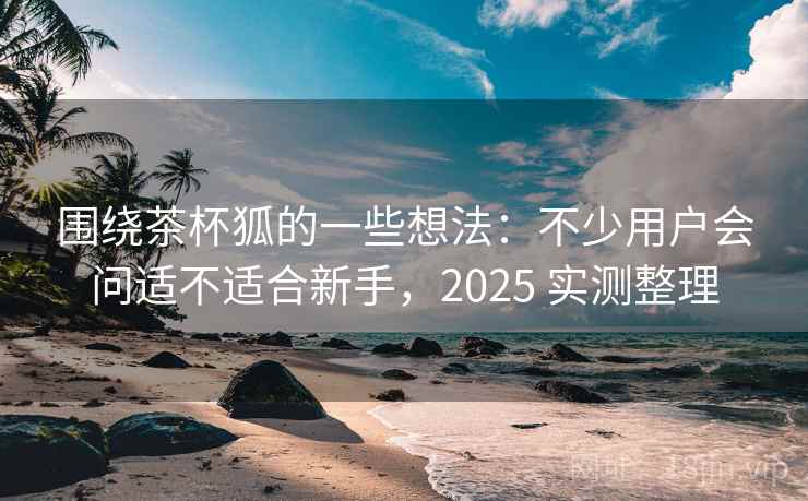 围绕茶杯狐的一些想法：不少用户会问适不适合新手，2025 实测整理