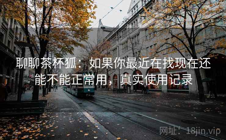 聊聊茶杯狐：如果你最近在找现在还能不能正常用，真实使用记录
