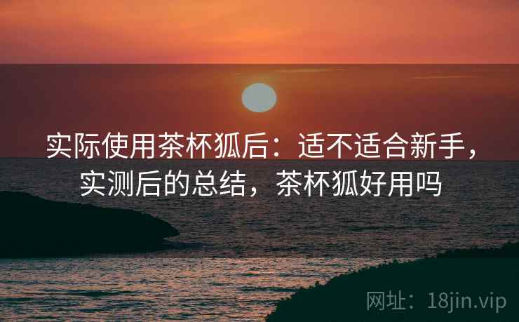 实际使用茶杯狐后:适不适合新手,实测后的总结,茶杯狐好用吗 实际使用茶杯狐后:适不适合新手,实测后的总结,茶杯狐好用吗
