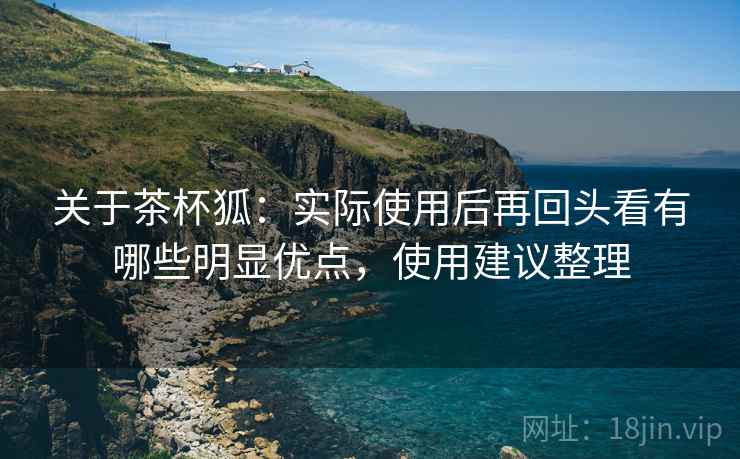 关于茶杯狐:实际使用后再回头看有哪些明显优点,使用建议整理 关于茶杯狐:实际使用后再回头看有哪些明显优点,使用建议整理